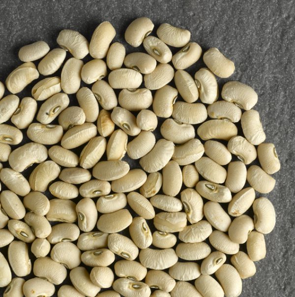 Hutterite Soup Beans – Chili Smith Family Foods