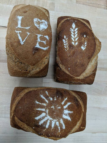 Whole Wheat by Sierra Sourdough